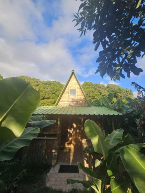 Banana Eco Camp